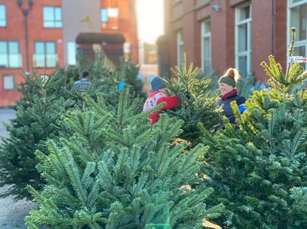 Christmas Tree Rentals in United Kingdom - Ali & Joe’s, Bath and Bristol
