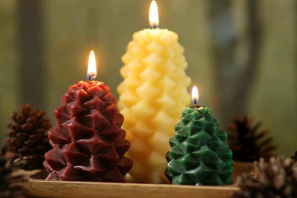 Beeswax Pinecone candles