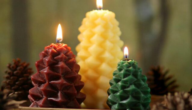 Beeswax Pinecone candles