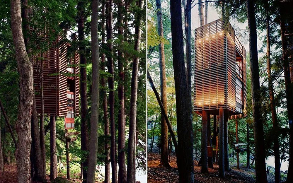 Best Eco-Friendly Treehouses in the World