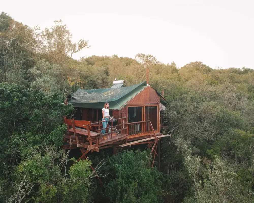 Best Eco-Friendly Treehouses in the World