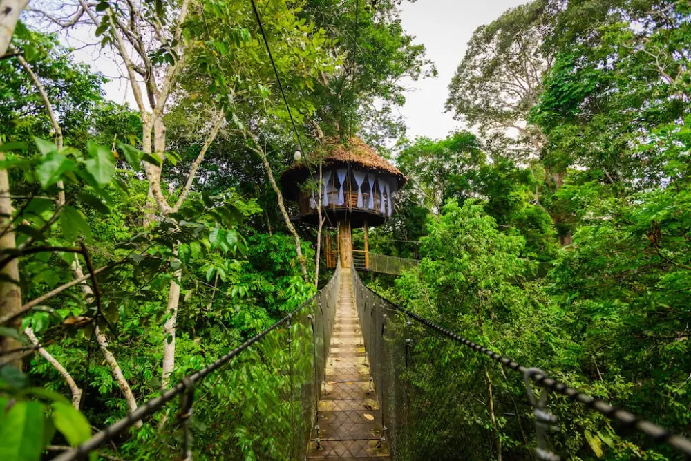 Best Eco-Friendly Treehouses in the World