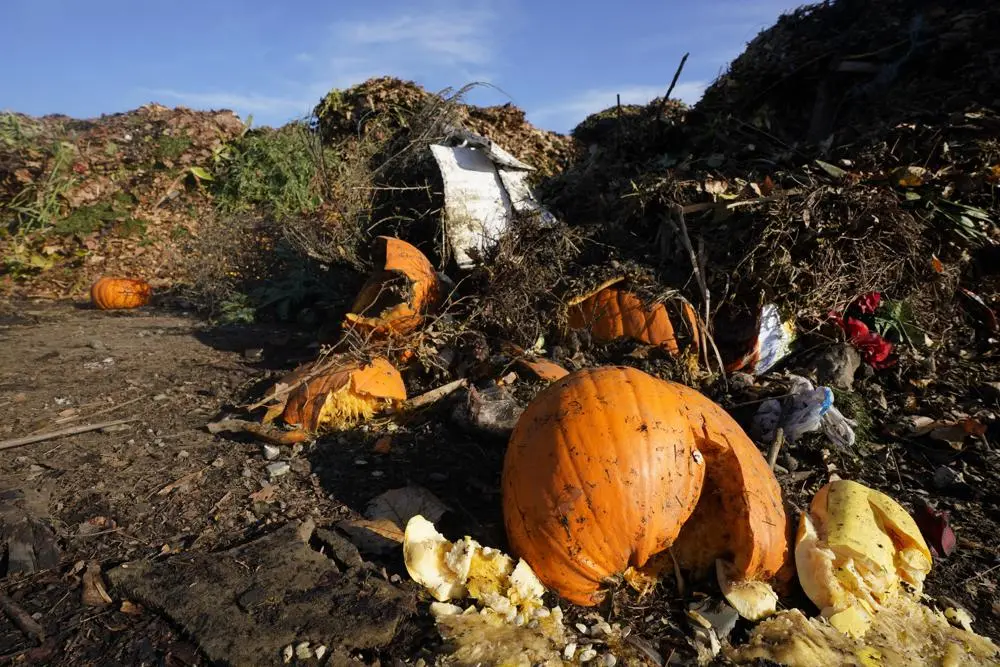 California Targets Food waste by turning it Into Renewable Energy