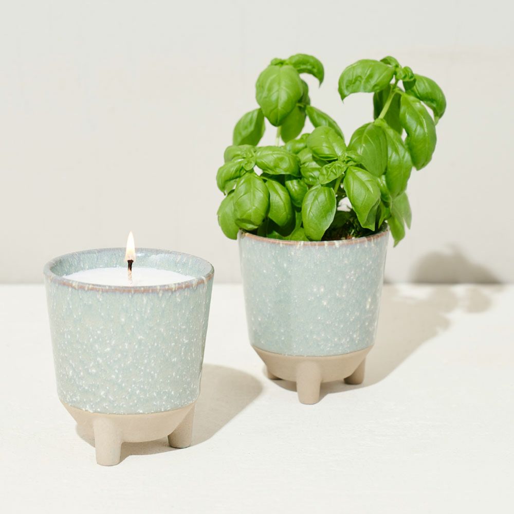 Candle herb garden