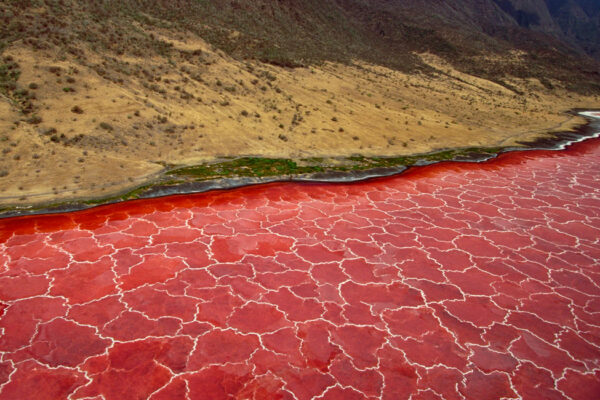 Lake Natron