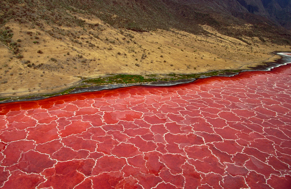 Lake Natron 