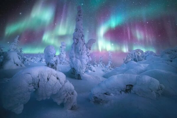 Northern lights photographer of the year