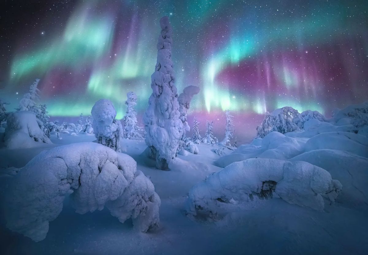 Northern lights photographer of the year 