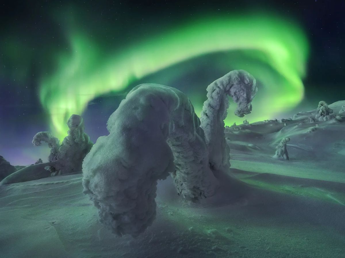 Northern lights photographer of the year 