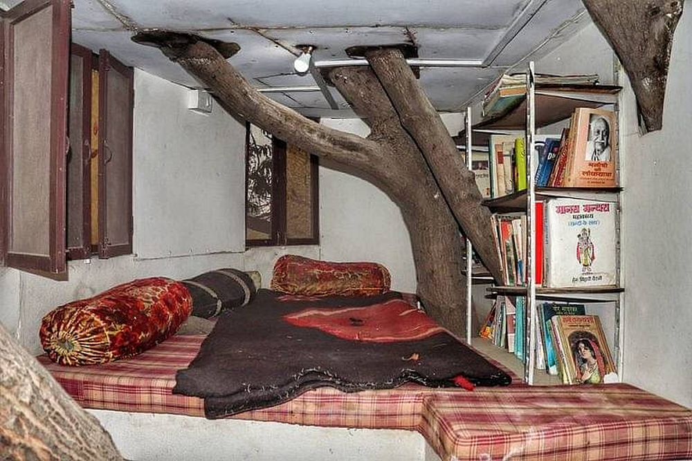 Three-Storey House On A 40-Foot Mango Tree 