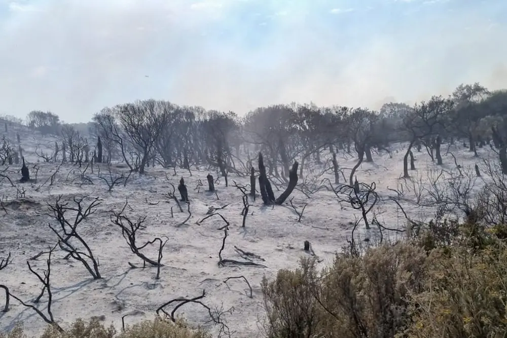 Aflame Western Australia: Seems Country Learned Nothing from Black Summer Bushfires