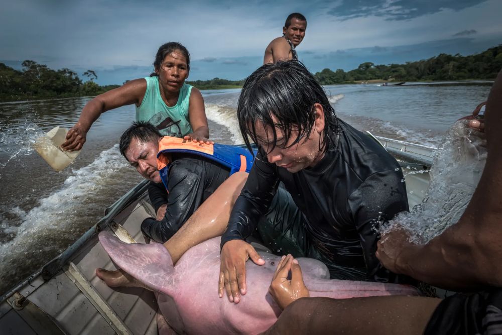 Wildlife Photographer of the Year People’s Choice Award 