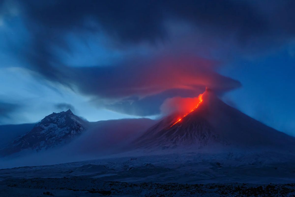 Winning Shots from the Nature Photographer of the Year 2021 