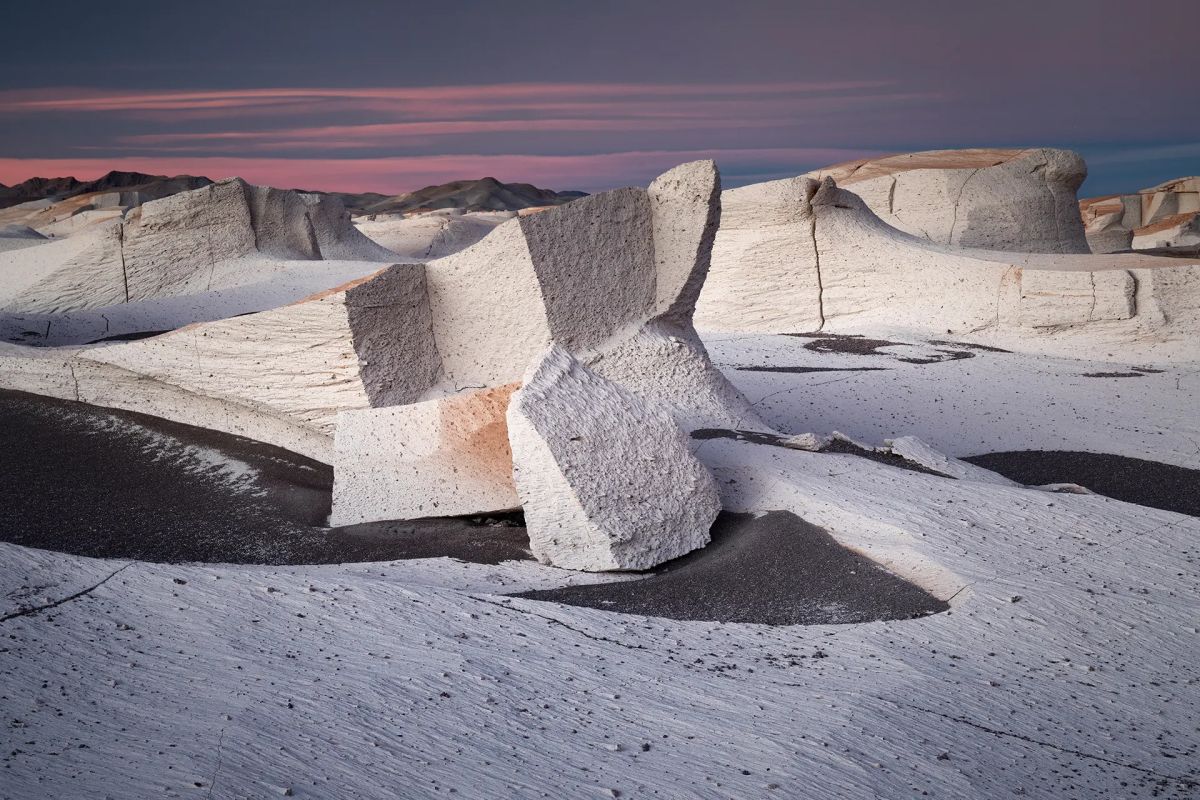 Winning Shots from the Nature Photographer of the Year 2021