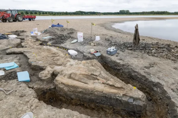 Colossal Prehistoric Sea Dragon Fossil Unearthed in UK