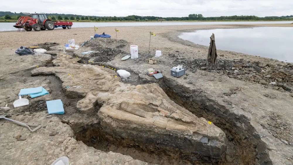 Colossal Prehistoric Sea Dragon Fossil Unearthed in UK