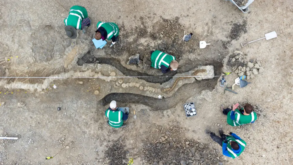 Colossal Prehistoric Sea Dragon Fossil Unearthed in UK