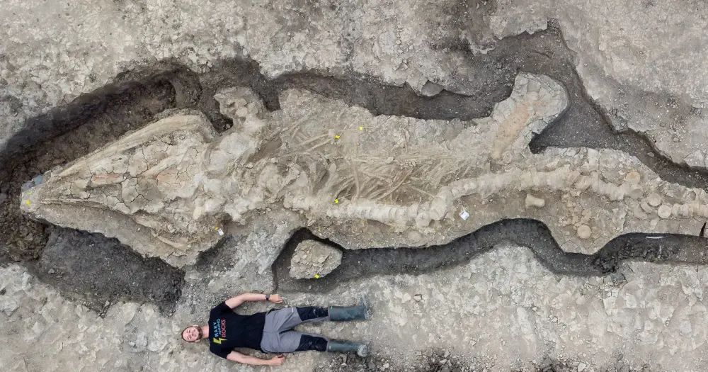 Colossal Prehistoric Sea Dragon Fossil Unearthed in UK