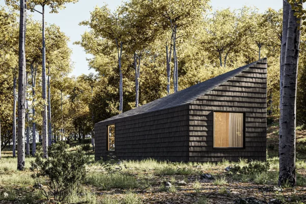 Sustainable Cabins of 21st Century