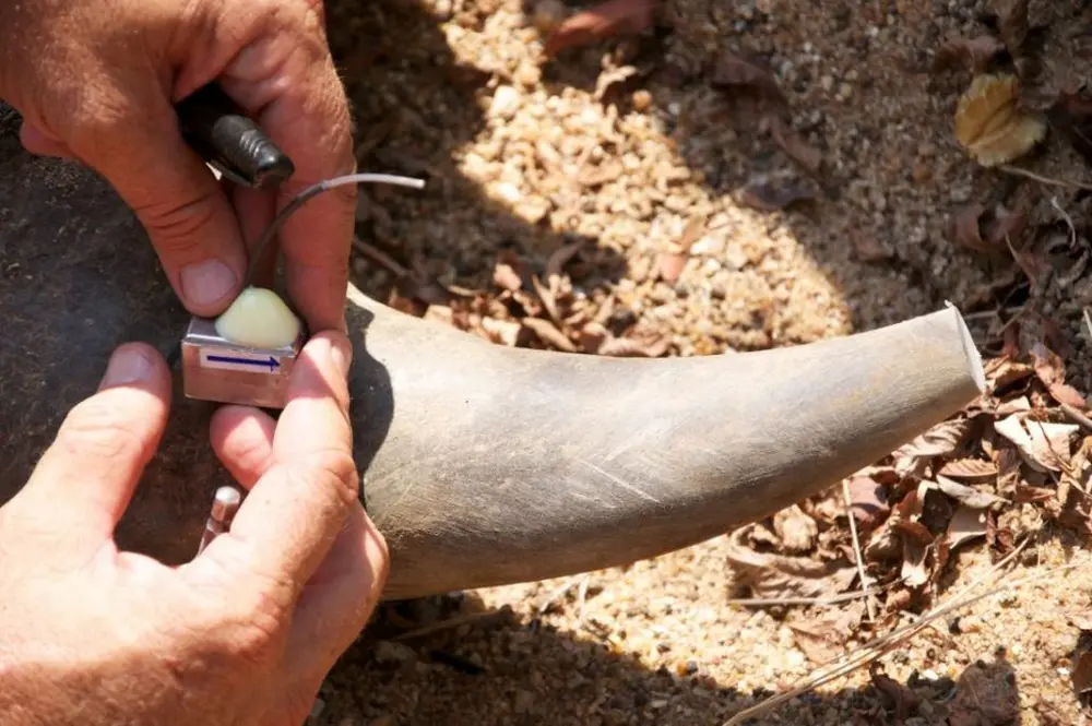 10 Ways Modern Technology is Fighting Poaching - Anti-poaching transmitters