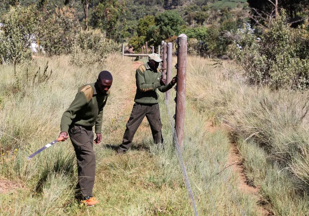 Kenya Wildlife Services - Alarm Fences for protection from poaching 