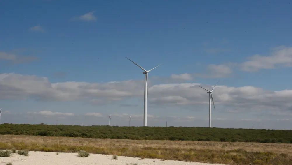 Largest Onshore Wind Farms in World - Capricorn Ridge Wind Farm, US
