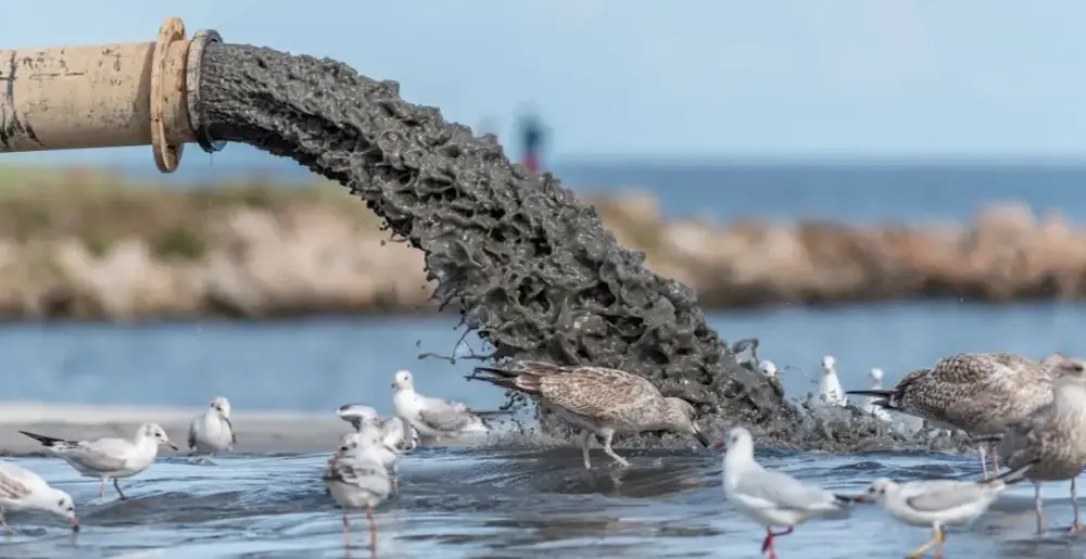 Major Factors Polluting Oceans - Sewage