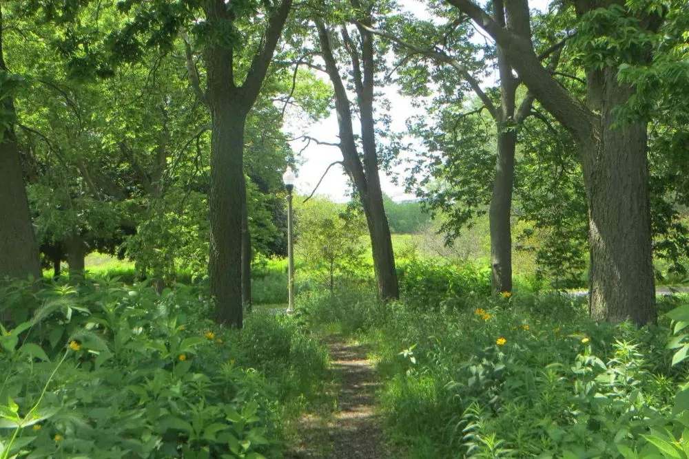 Burnham Wildlife Corridor, Illinois