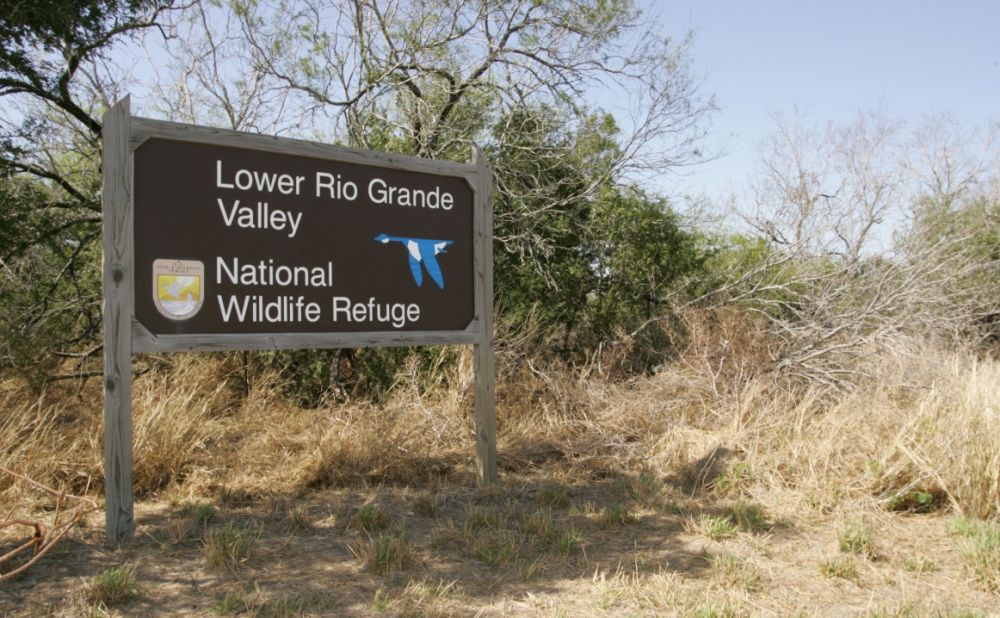 Lower Rio Grande Valley National Wildlife Refuge, Texas