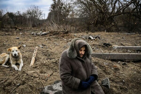 Russia-Ukraine war Decimates Environment and Wildlife