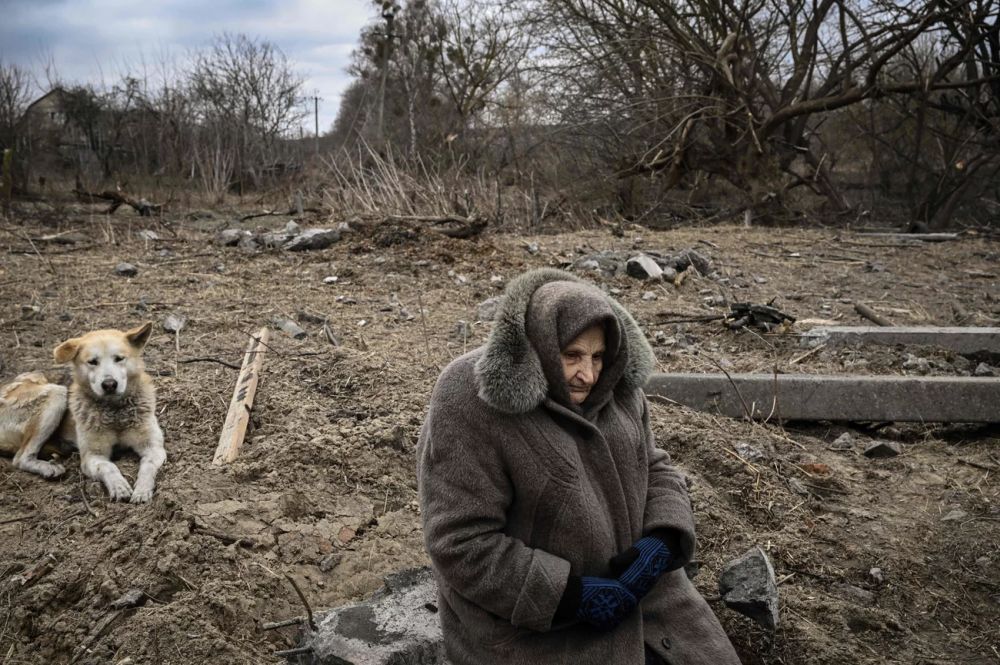 Ukraine Russia War Environmental Impacts - Displacement
