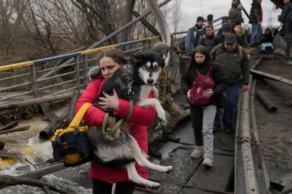 Ukraine Russia War Environmental Impacts - Evacuation