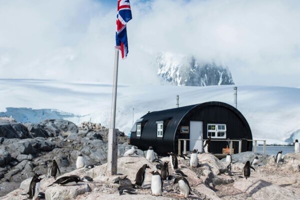 Dream Job Alert! Get Paid To Sort Mail & Count Penguins in Antarctica