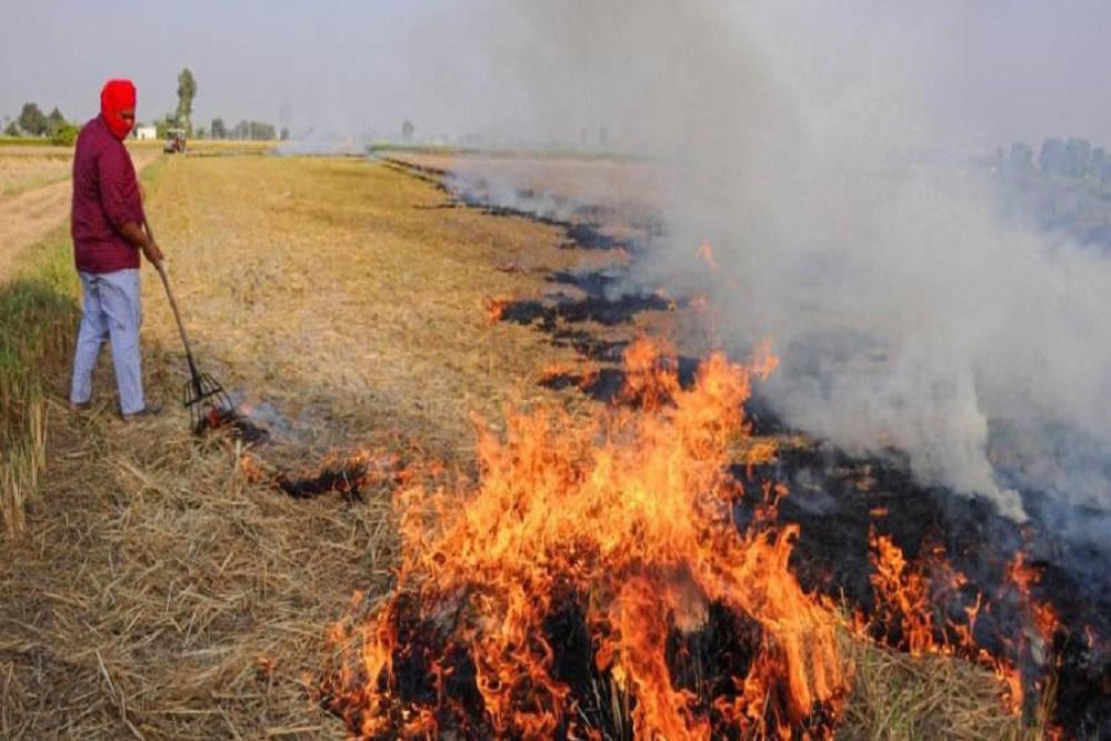 Indore Air Pollution on Rise, Farmers Still Burning Stubble Despite a Ban-1