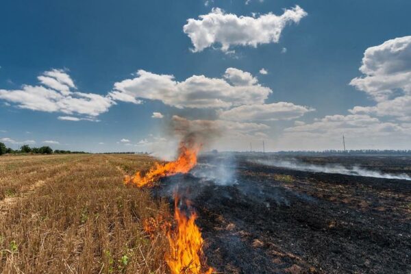 Indore Air Pollution on Rise, Farmers Still Burning Stubble Despite a Ban