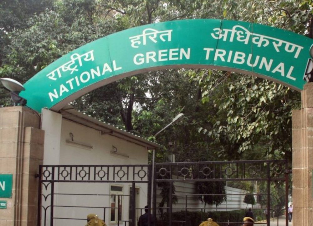 NGT Urges States & UTs to Opt Eco-Friendly Modes of Cremation
