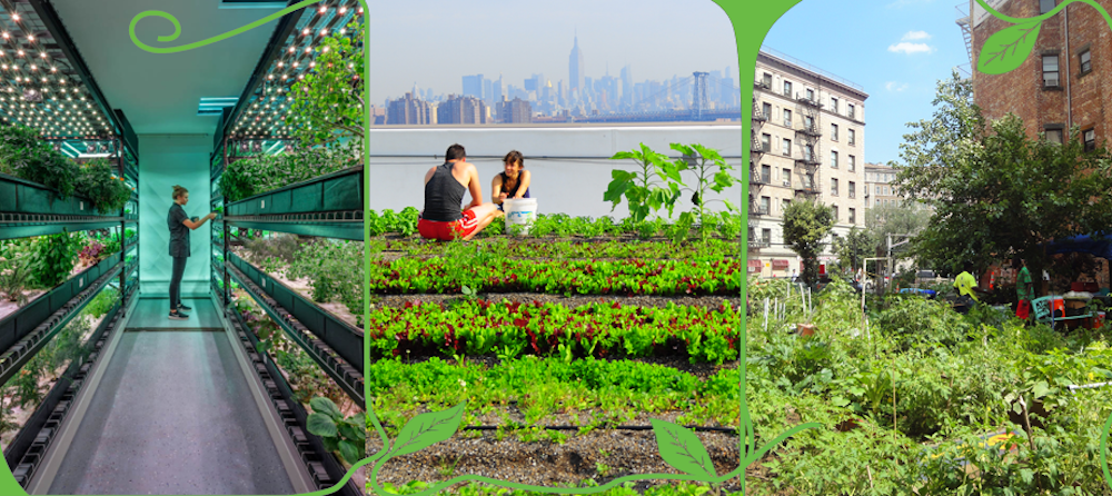 5 Most Unique Urban Farms Around the World