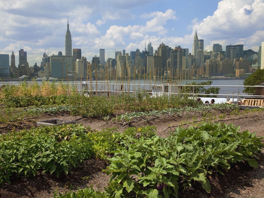 5 Most Unique Urban Farms Around the World