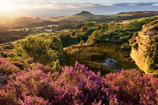 England Turning 99,000 Hectares of Land into Nature Recovery Projects