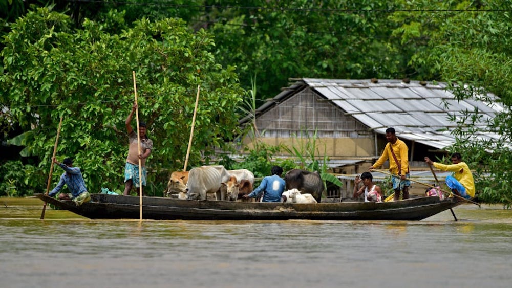 Extreme Floods Leave Millions Homeless in India & Bangladesh-1