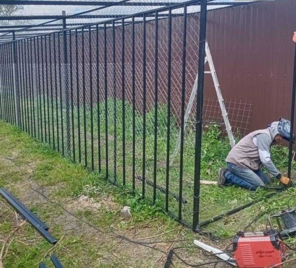 Indian Doctor Stuck in Ukraine Builds Bomb Shelter for Pet Panther and Jaguar