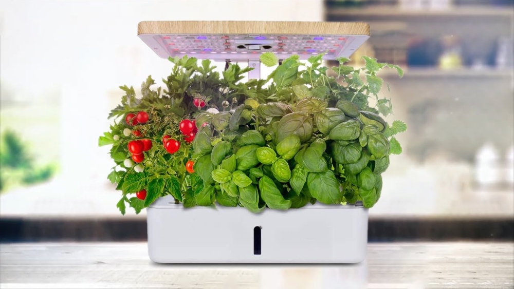 Moistenland Hydroponics Growing System