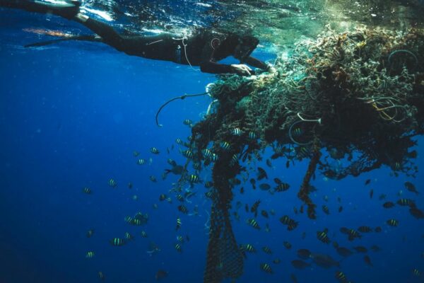 Scientists Find The Great Pacific Garbage Patch Alive With Floating Life