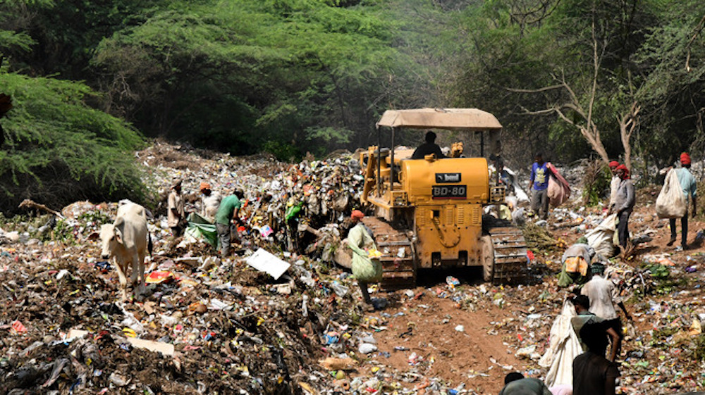 Turning Jhuriwala Forest Area into Garbage Dump Threatens Wildlife & Ecosystem