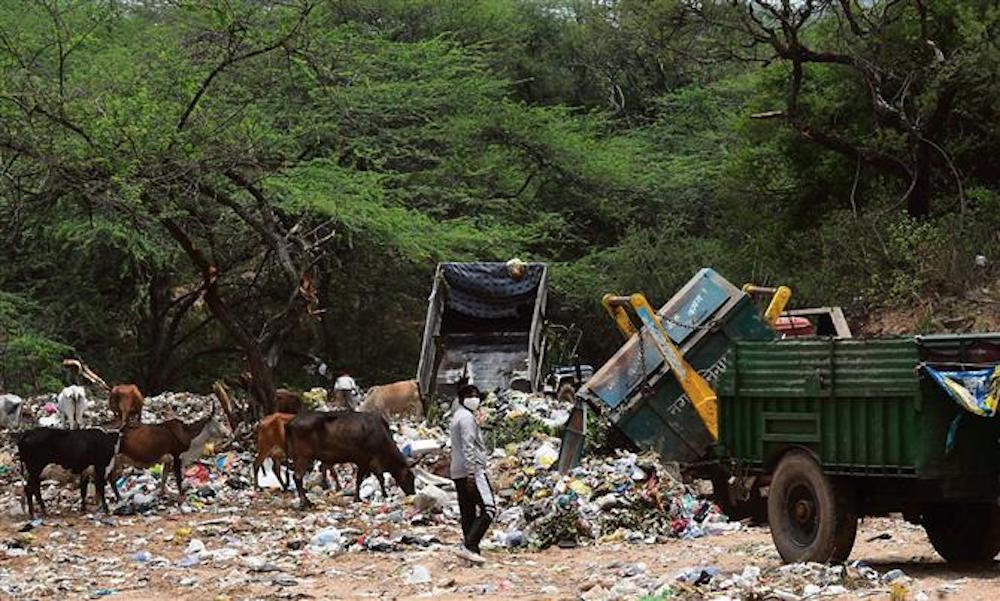 Turning Jhuriwala Forest Area into Garbage Dump Threatens Wildlife & Ecosystem