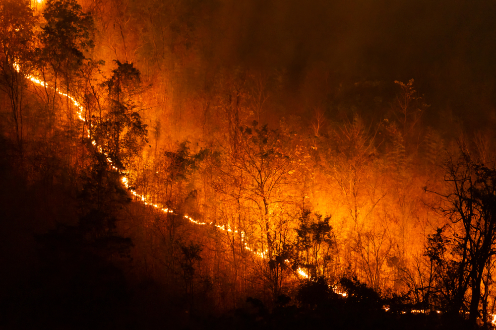 US South-West Faces Early Fire Season