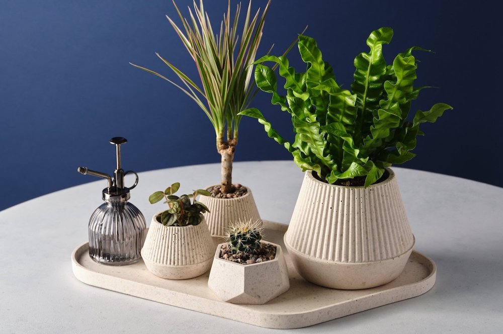 Welsh Designer Uses Coffee Waste To Make Stylish Home Accessories