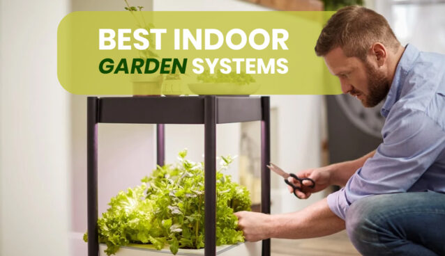 Best indoor garden systems