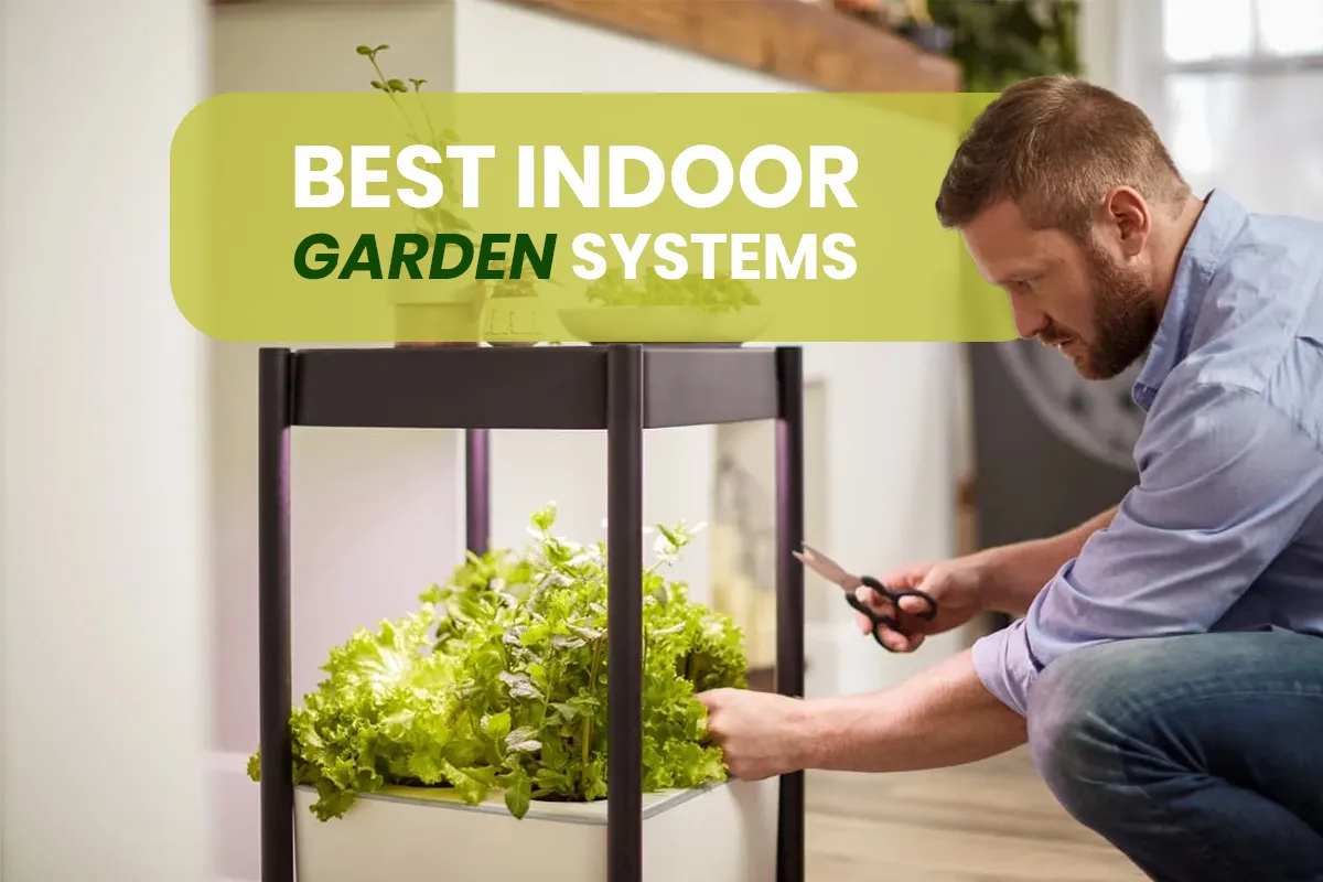 Best indoor garden systems