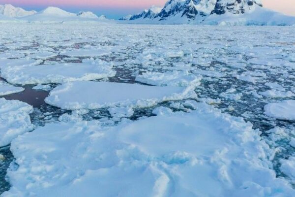 Antarctica No More Pristine! Microplastics Found on Fresh Snow